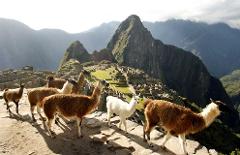 First Class Collection Machu Picchu Short Break Vacation - 5 Days